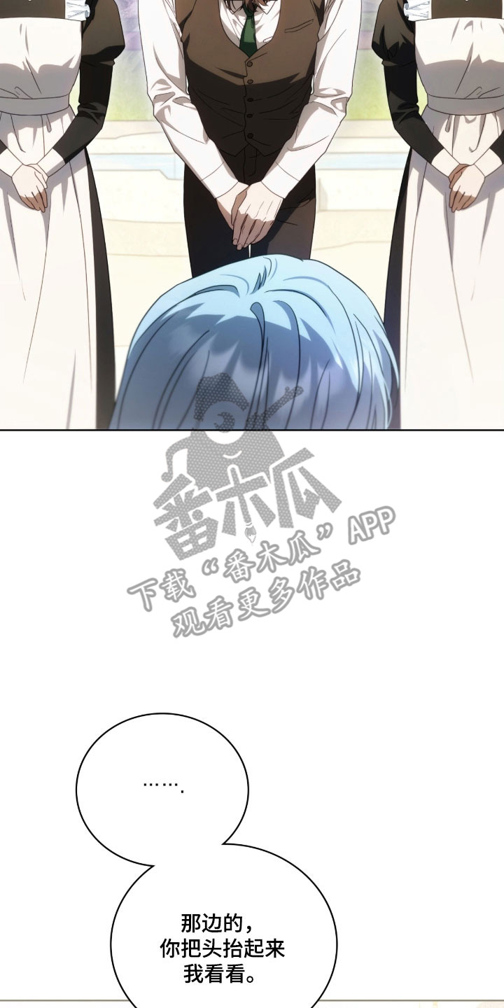 公爵和伯爵的区别漫画,第29章：神之雕像1图