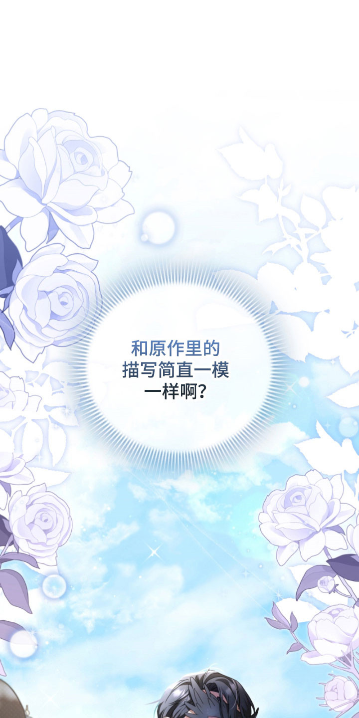 公爵和红双喜哪个好漫画,第28章：真的来了1图