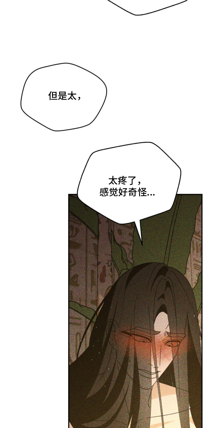 球神直播888体育在线观看漫画,第27章：想想办法帮我4图