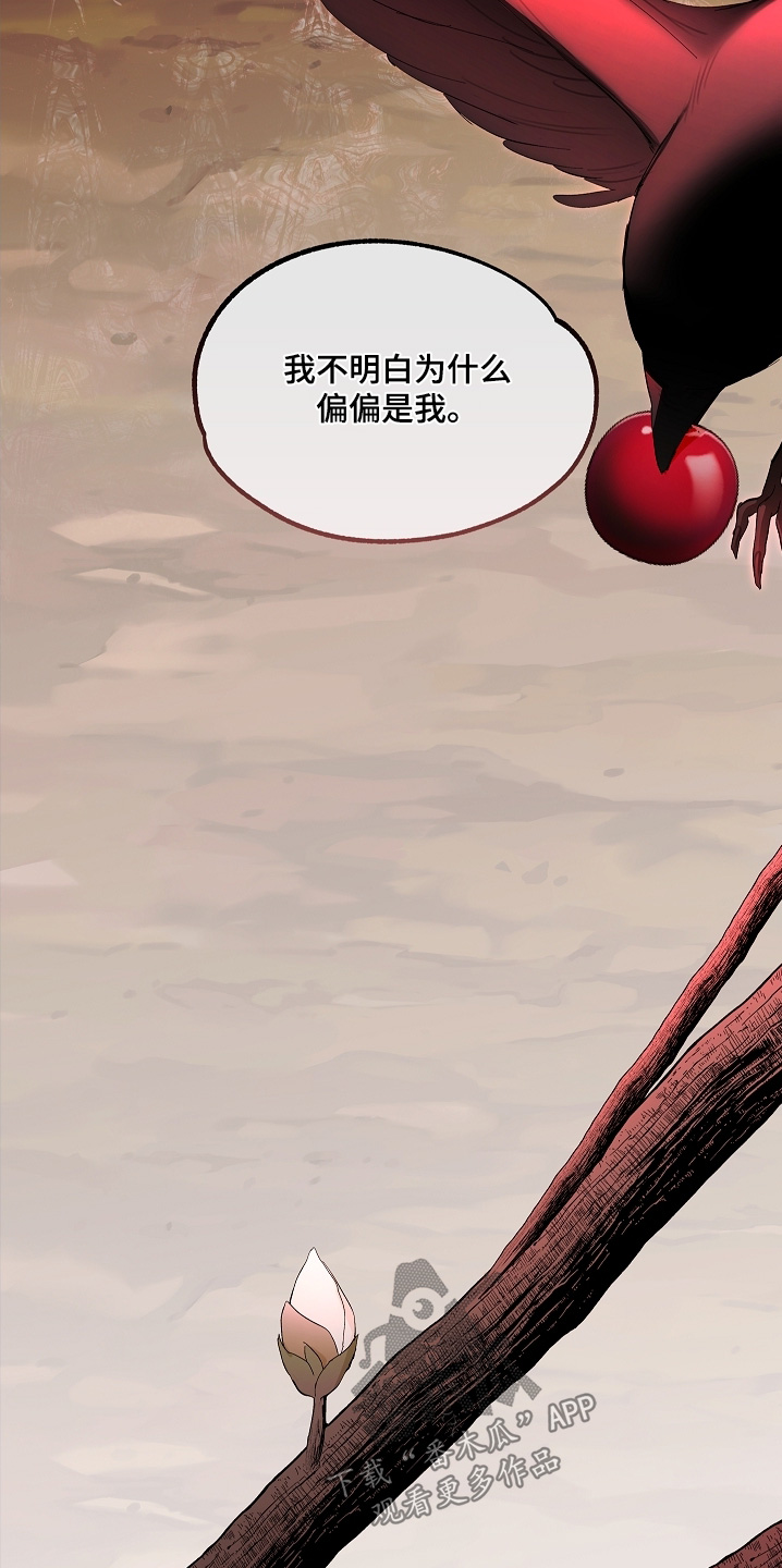 人鬼债难清漫画,第26章：我生前记忆5图