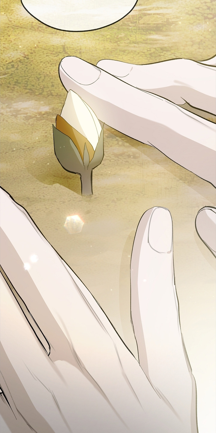 人鬼债难清漫画书收藏版漫画,第29章：或许能开花吧1图