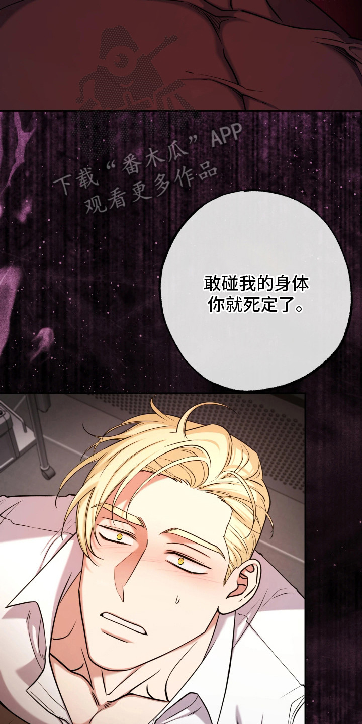 幽灯信标漫画,第13章：展示能力2图