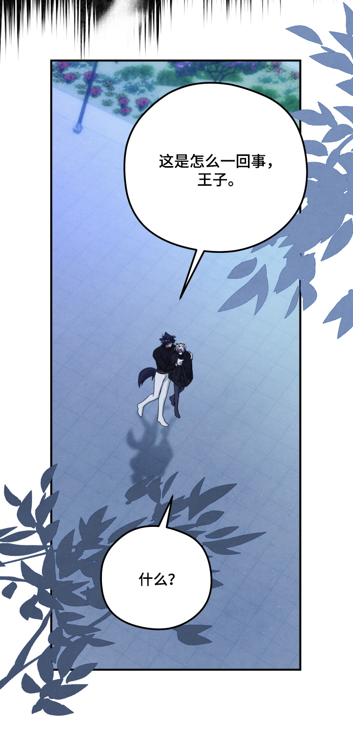 神离之日后漫画,第24章：不用3图