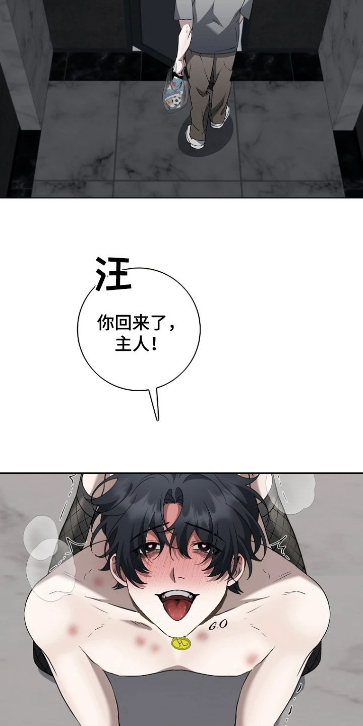 地狱中的爱漫画,第42章：好好教育（完结）1图