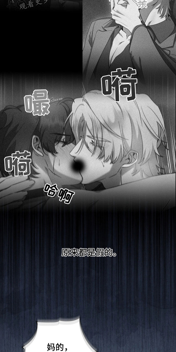 地狱中的爱漫画,第35章：都是假的5图
