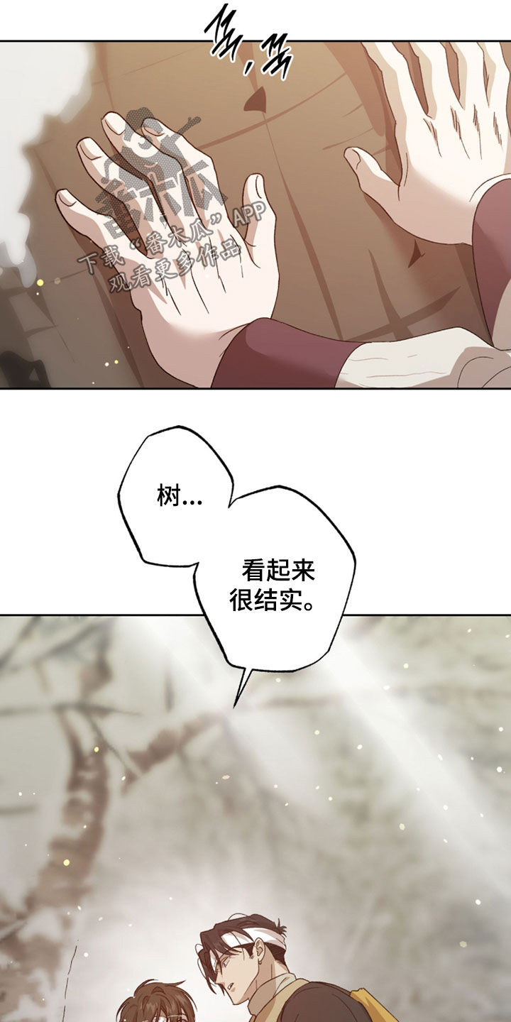 双生悲愿漫画周边推荐漫画,第39章：树很结实5图