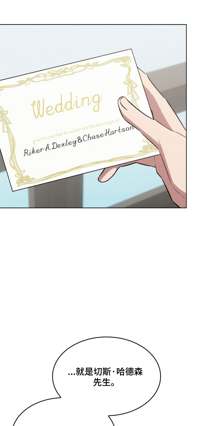 无名救赎免费阅读漫画,第88章：参加婚礼5图