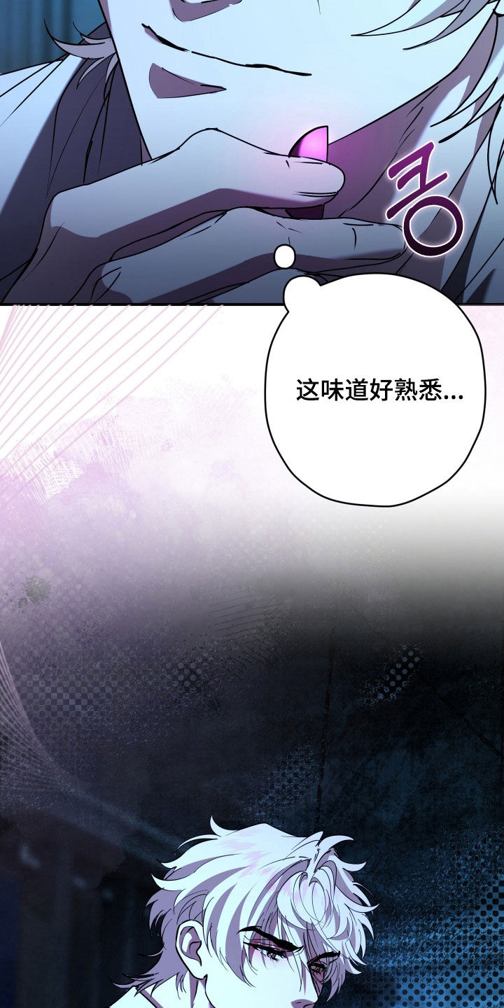 无双漫画,第33章：最佳时机2图