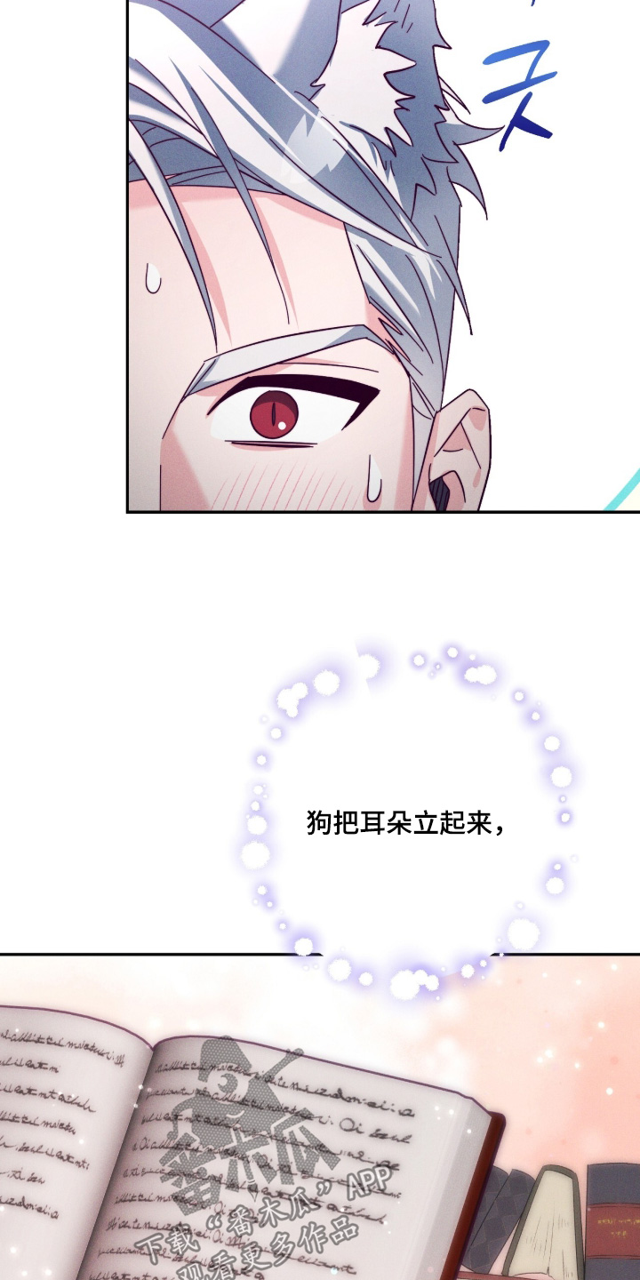 悔婚之后逆风翻盘全集漫画,第37章：别想和我保持距离1图