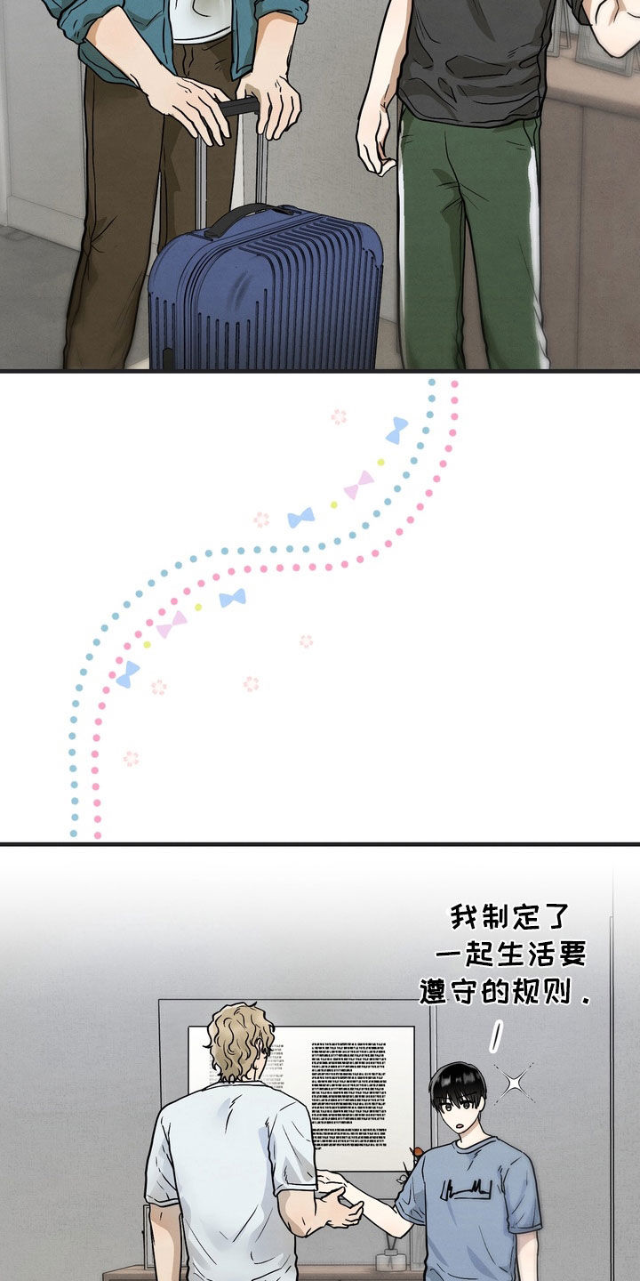 邋遢犬与洁癖猫漫画,第17章：同居（完结）3图