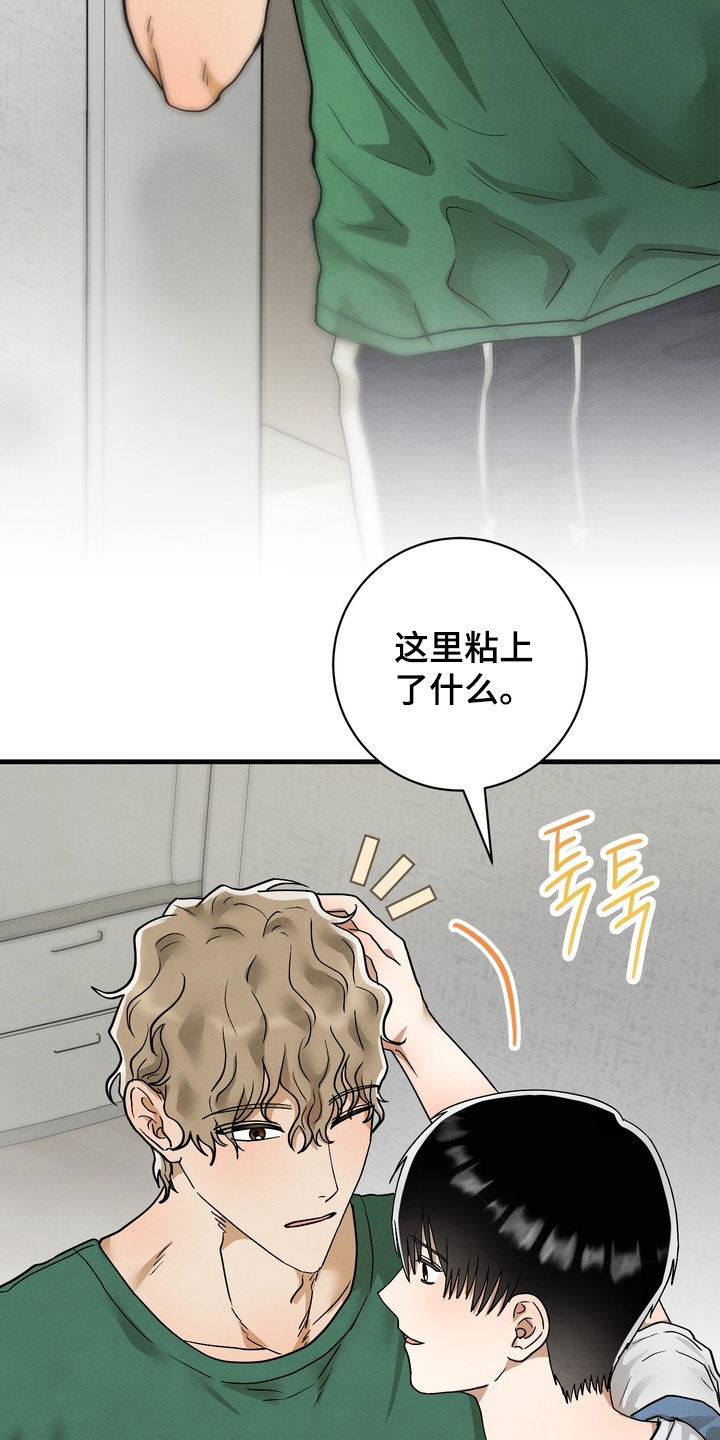 邋遢犬与洁癖猫漫画,第17章：同居（完结）4图