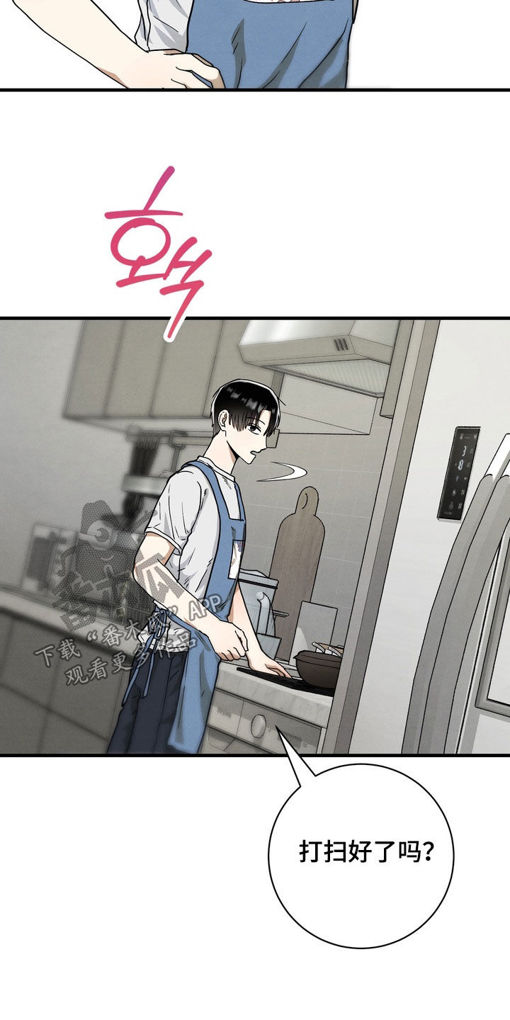 邋遢犬与洁癖猫漫画,第17章：同居（完结）2图
