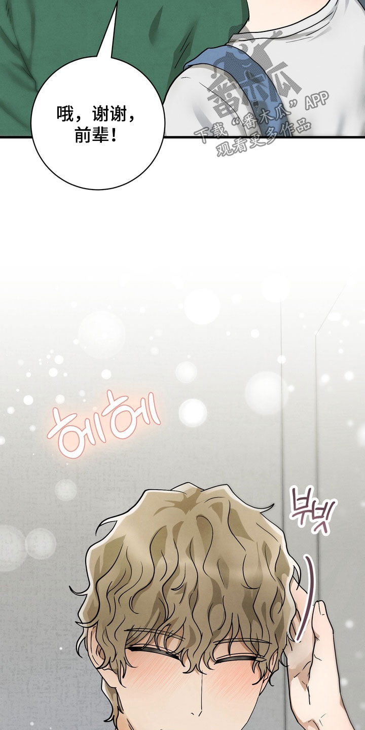 邋遢犬与洁癖猫漫画,第17章：同居（完结）5图