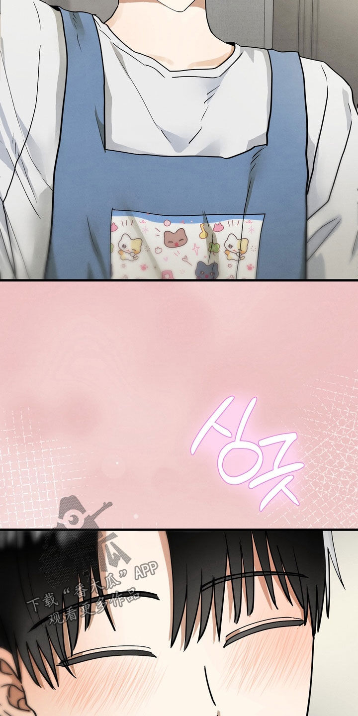 邋遢犬与洁癖猫漫画,第17章：同居（完结）2图