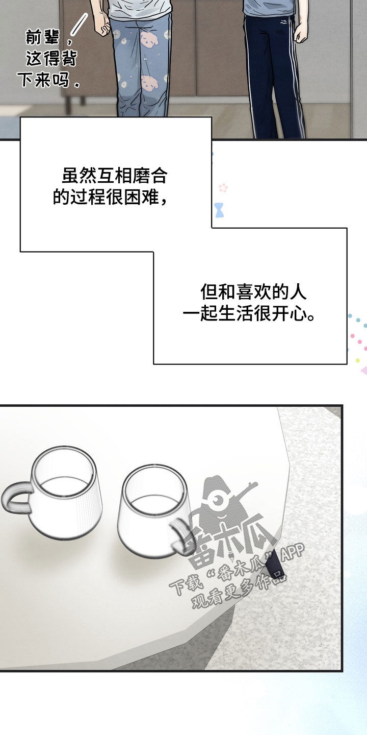 邋遢犬与洁癖猫漫画,第17章：同居（完结）4图