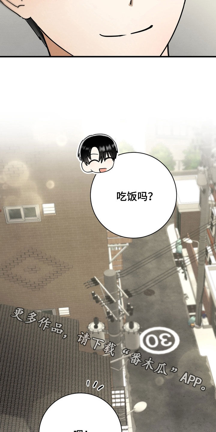 邋遢犬与洁癖猫漫画,第17章：同居（完结）3图