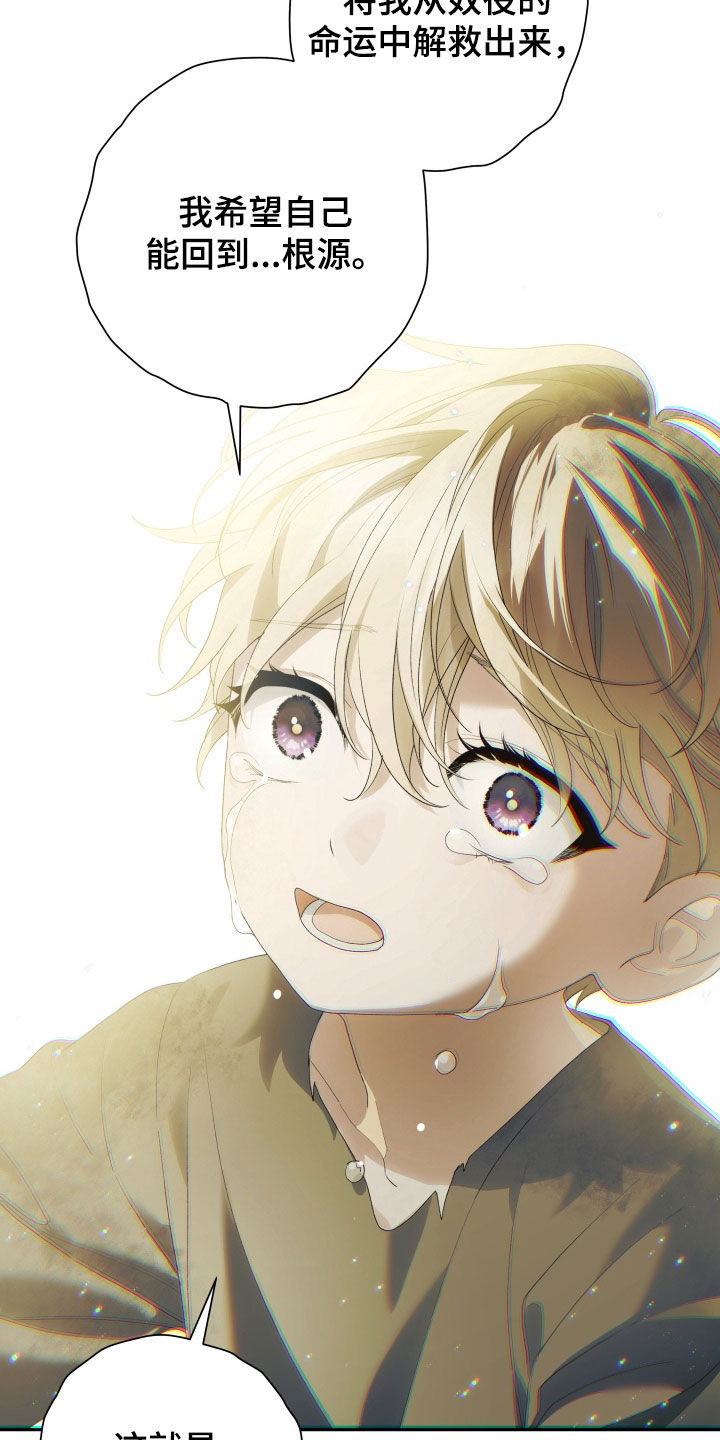 神坠之夜结局漫画,第30章：唯一的光4图