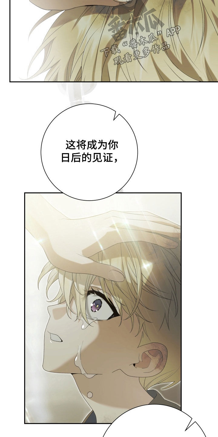 神坠之夜结局漫画,第30章：唯一的光1图