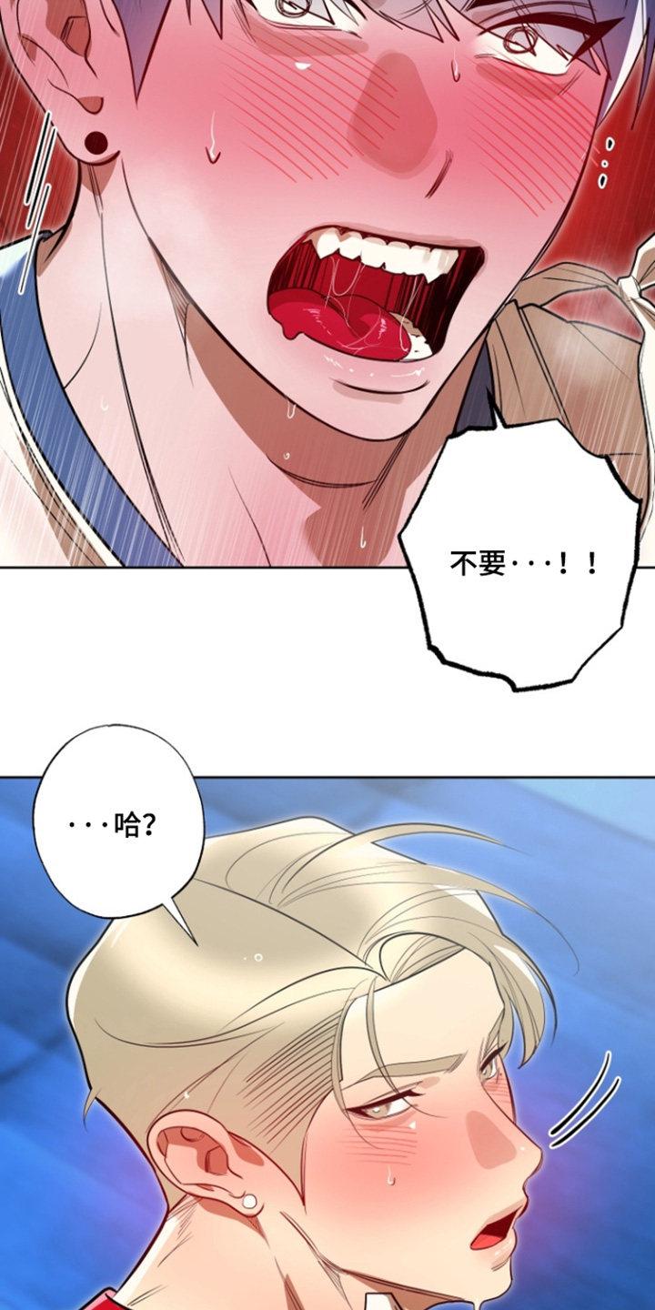 偶像竞技场漫画阅读方式漫画,第17章：独木桥5图