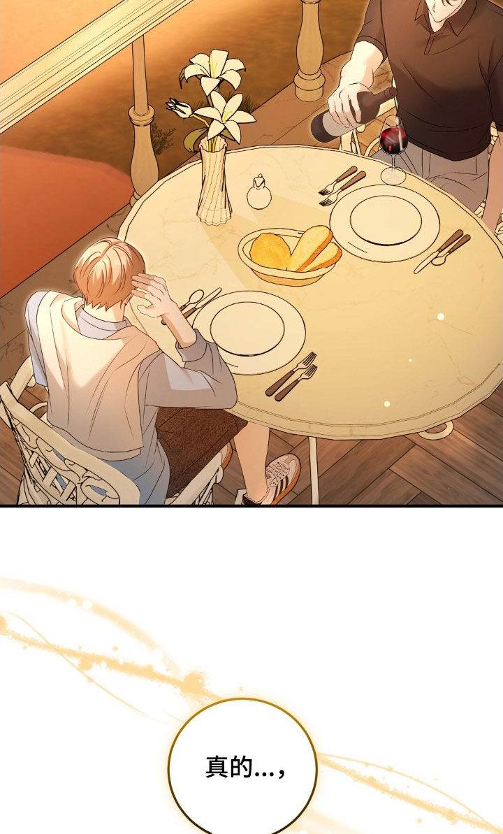 总裁的乌龙恋人漫画,第27章：真是太美了1图