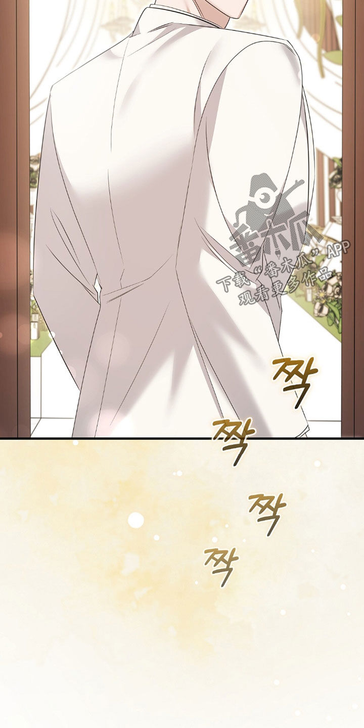 总裁的乌龙恋人漫画,第23章：婚礼2图