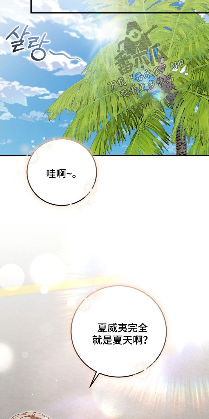 总裁的乌龙恋人漫画周边海报漫画,第26章：度蜜月1图