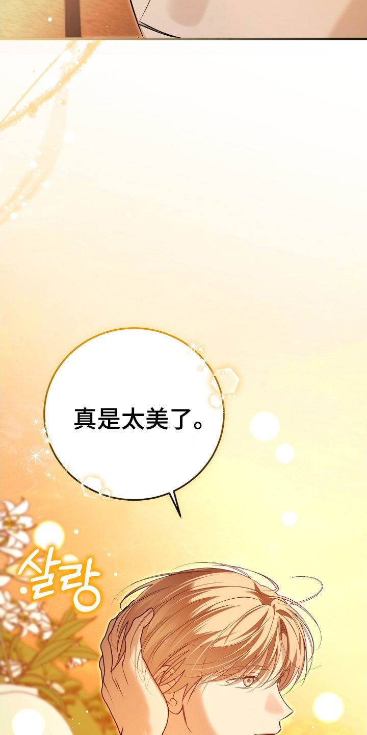 总裁的乌龙恋人漫画,第27章：真是太美了3图