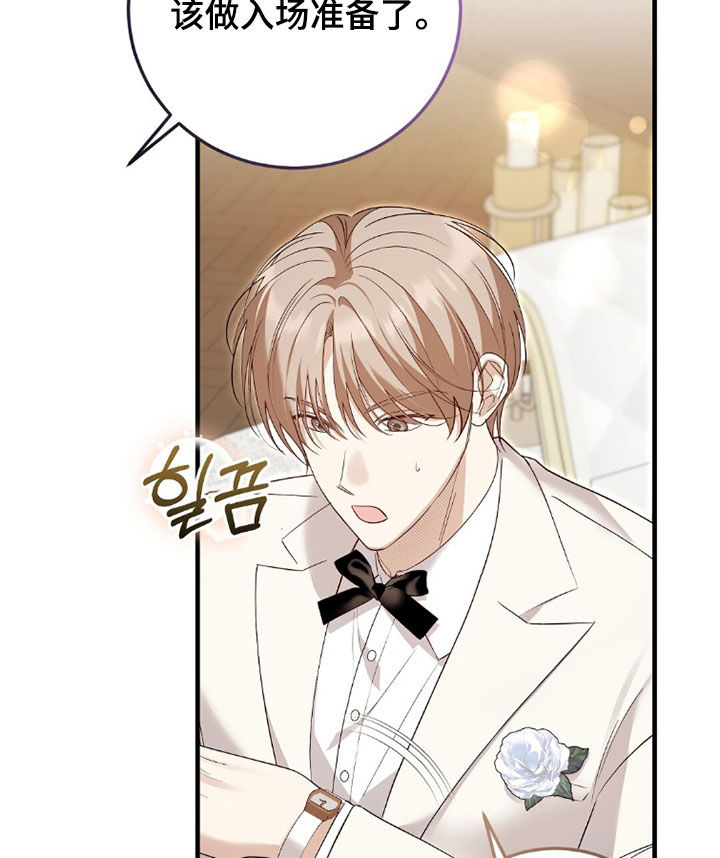 总裁的乌龙恋人漫画,第23章：婚礼3图