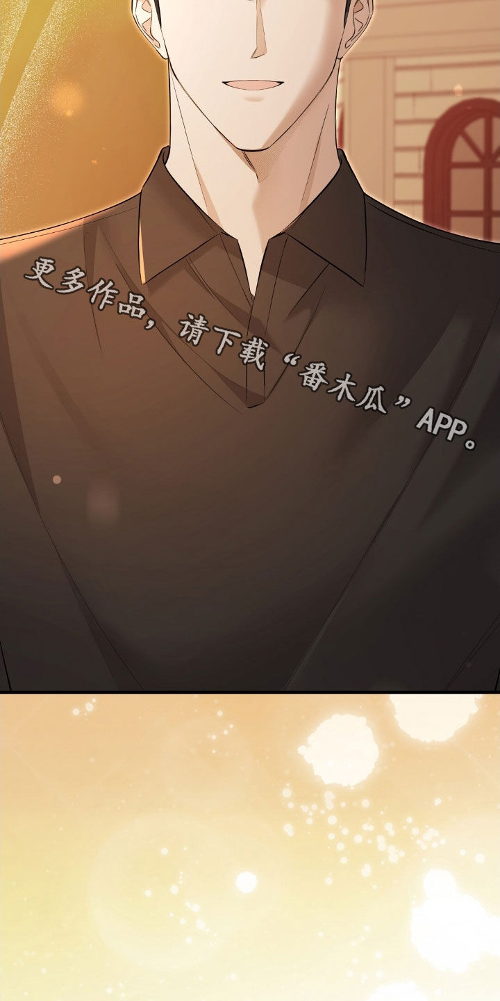 总裁的乌龙恋人漫画,第27章：真是太美了3图