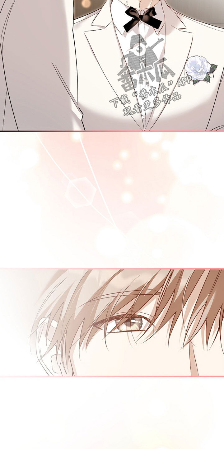 总裁的乌龙恋人漫画,第23章：婚礼3图