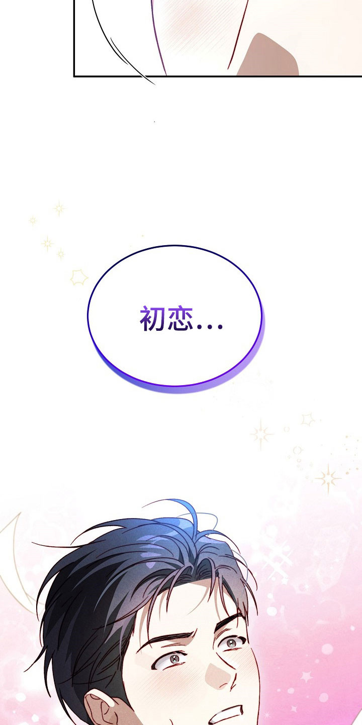 国民男友的秘密漫画,第27章：初恋3图