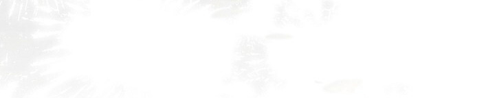 第35章：我饿了1