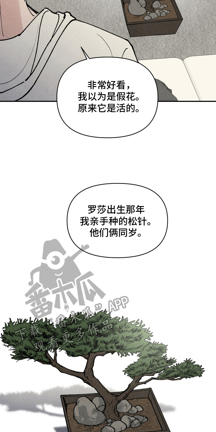 刀具英文怎么写漫画,第14章：担心5图