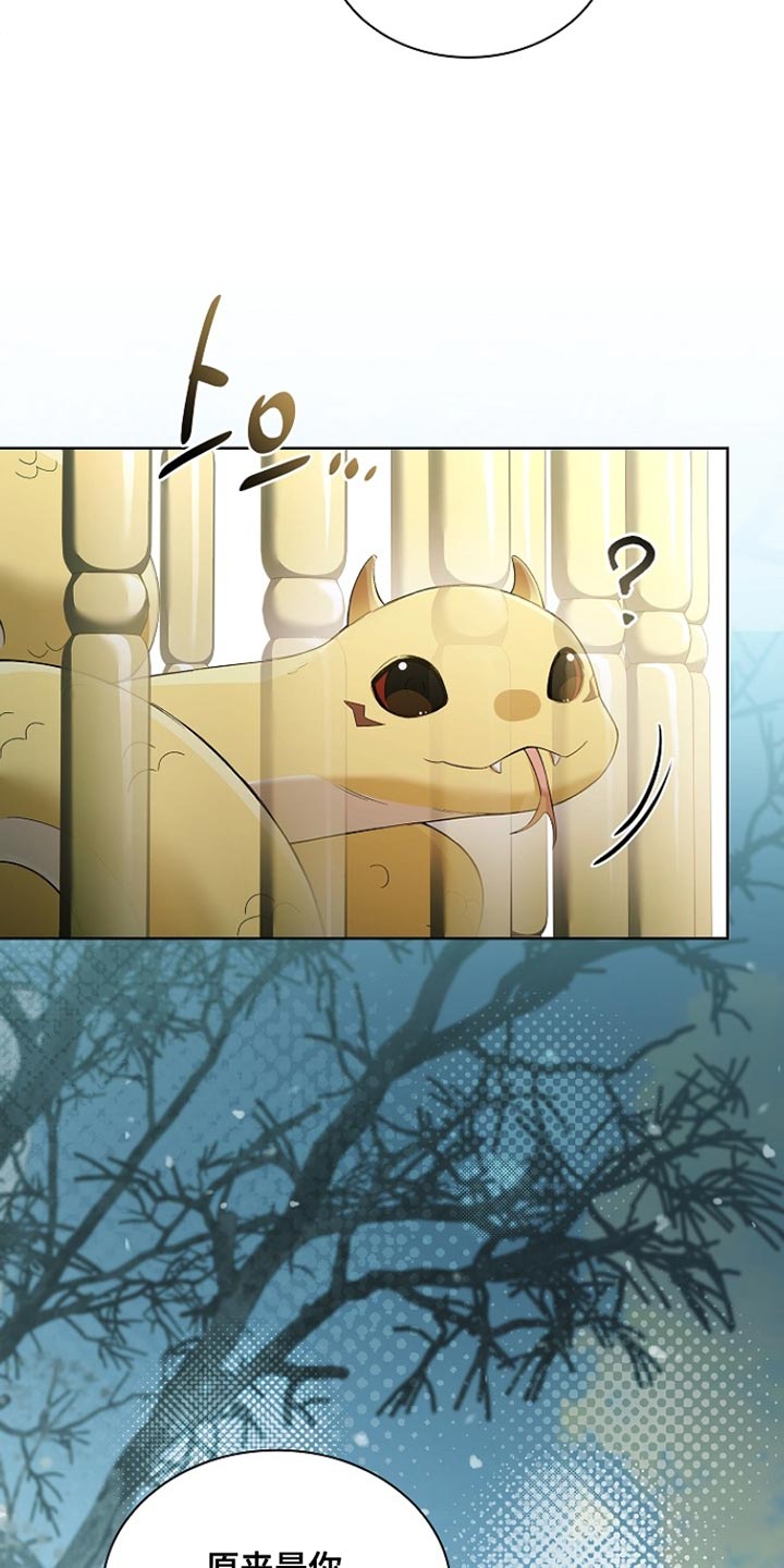 千载拼音漫画,第22章：我给了你机会1图