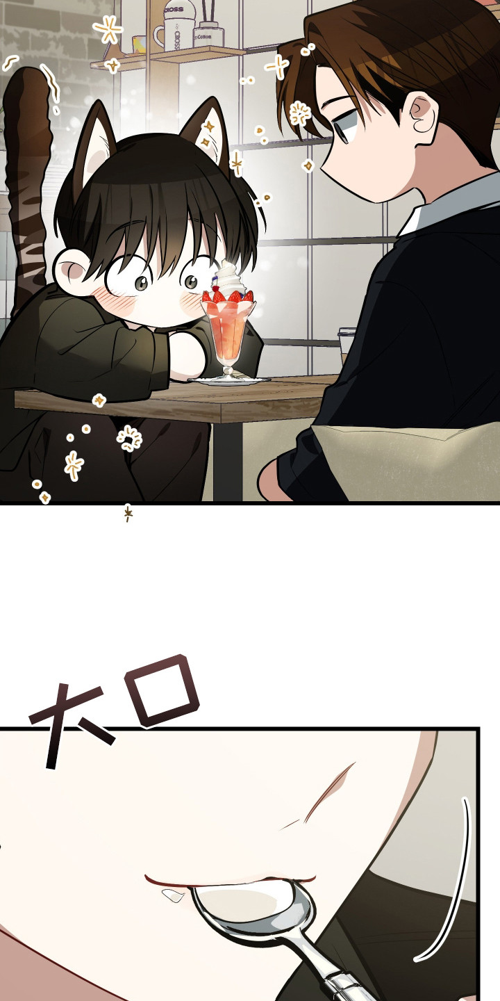 第19章：绝育4