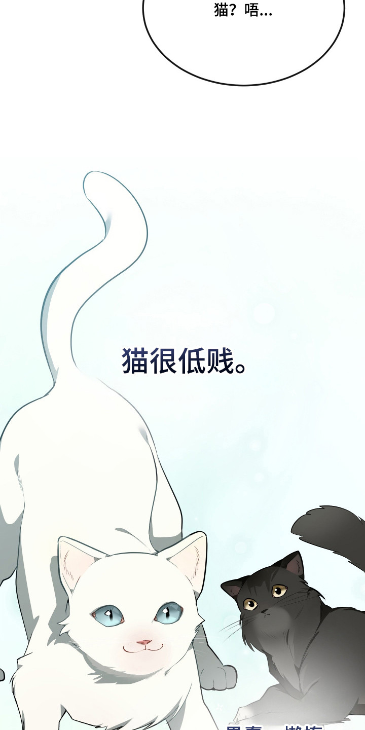 第19章：绝育0
