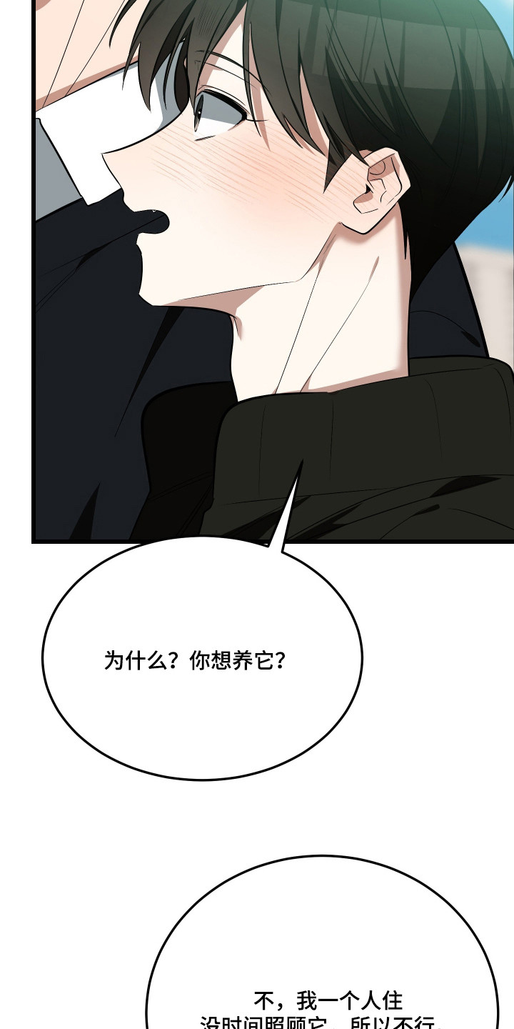 第19章：绝育2