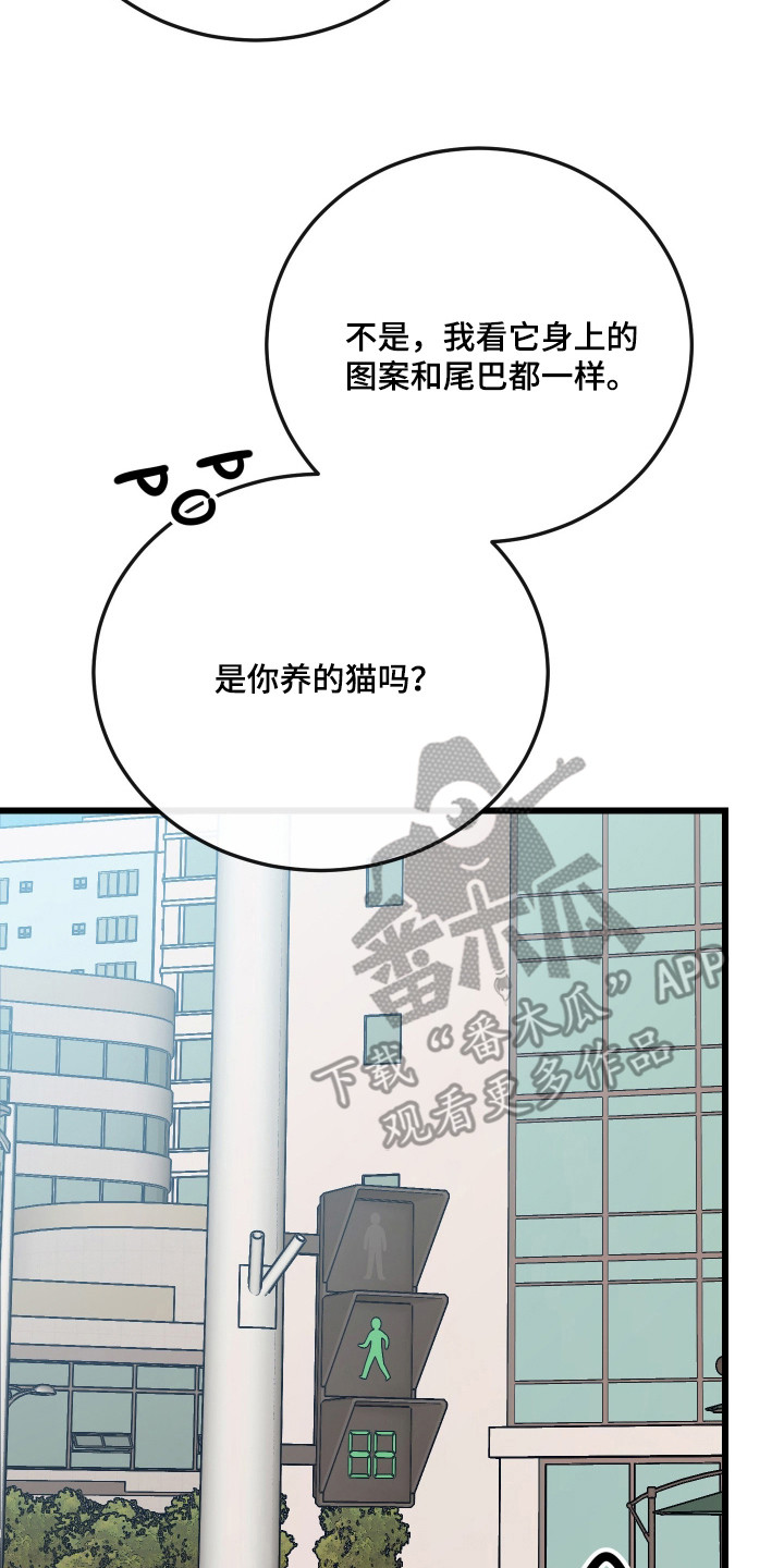 第19章：绝育0