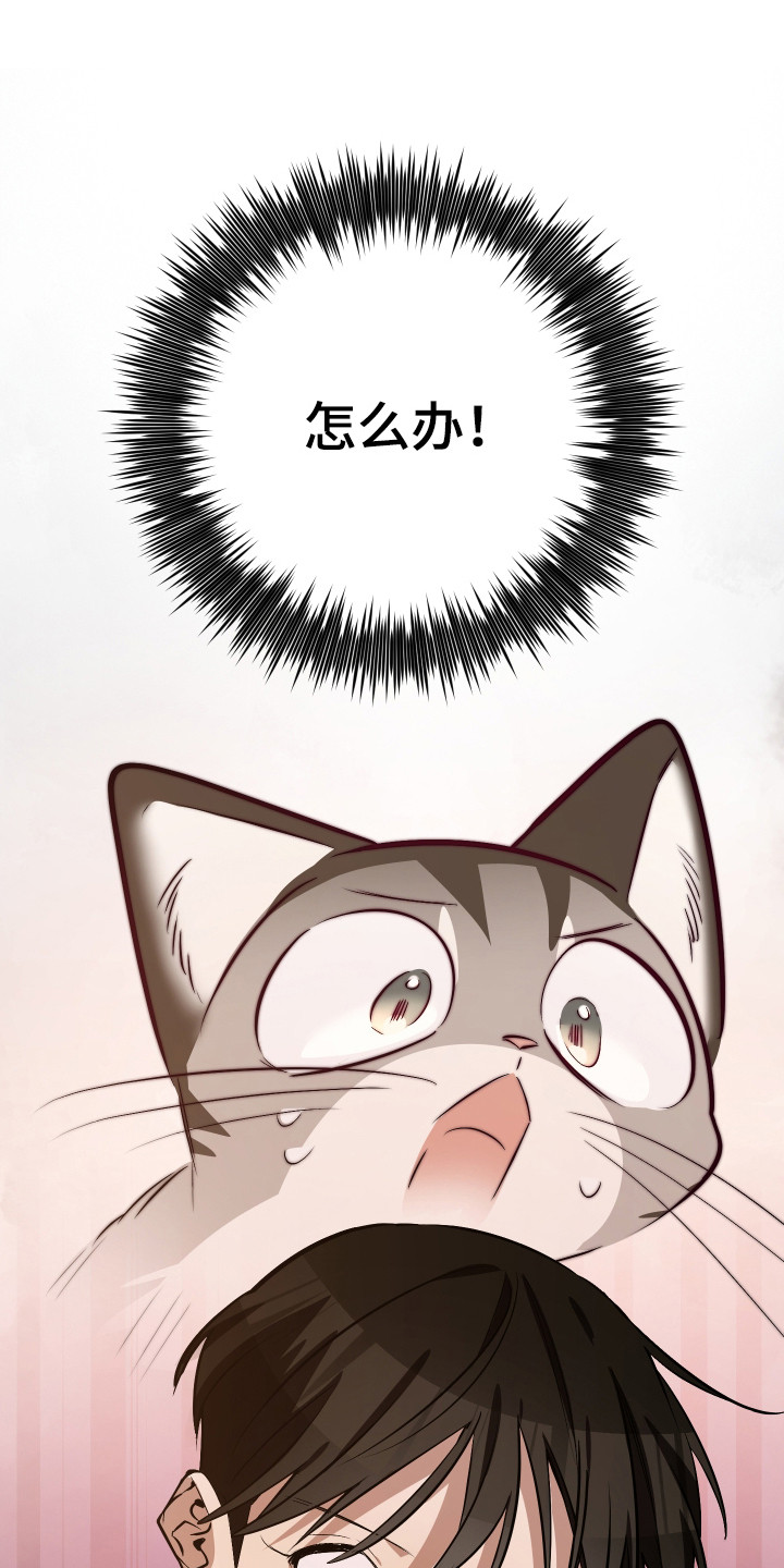 第15章：照片3