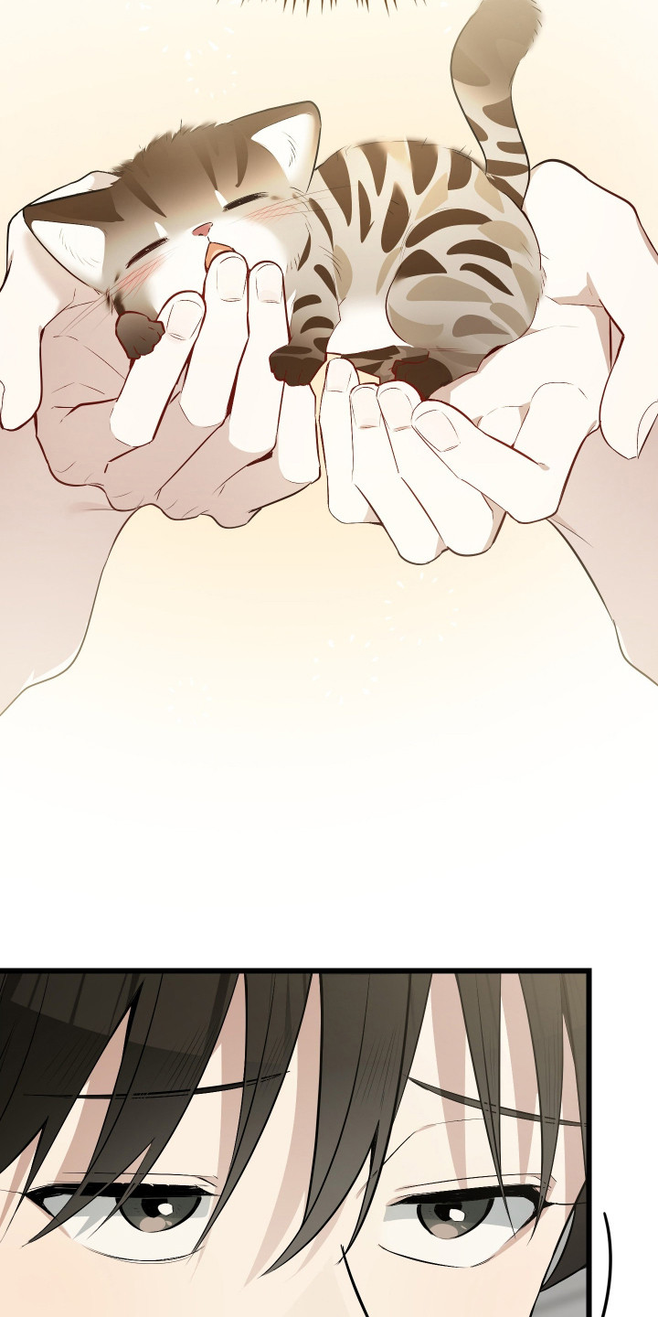 野猫的命定人类漫画,第20章：不婚主义1图