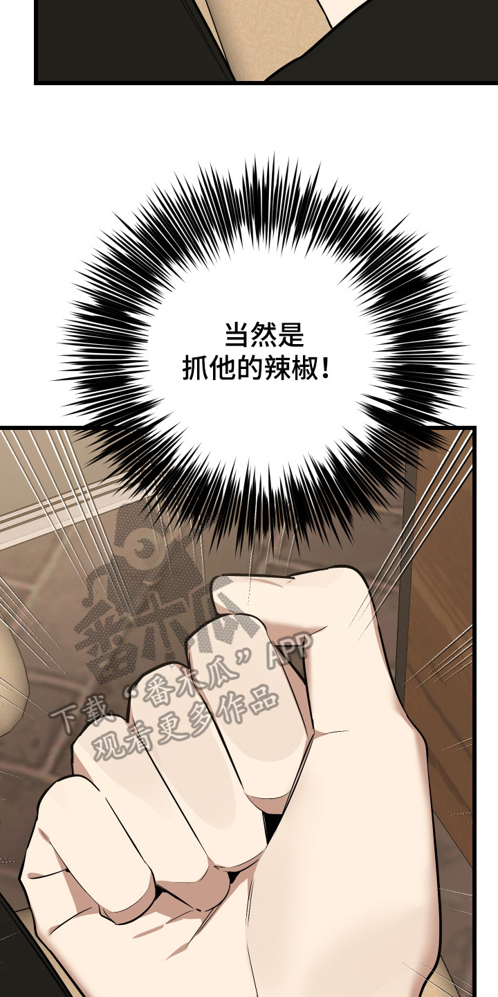 第17章：计划4