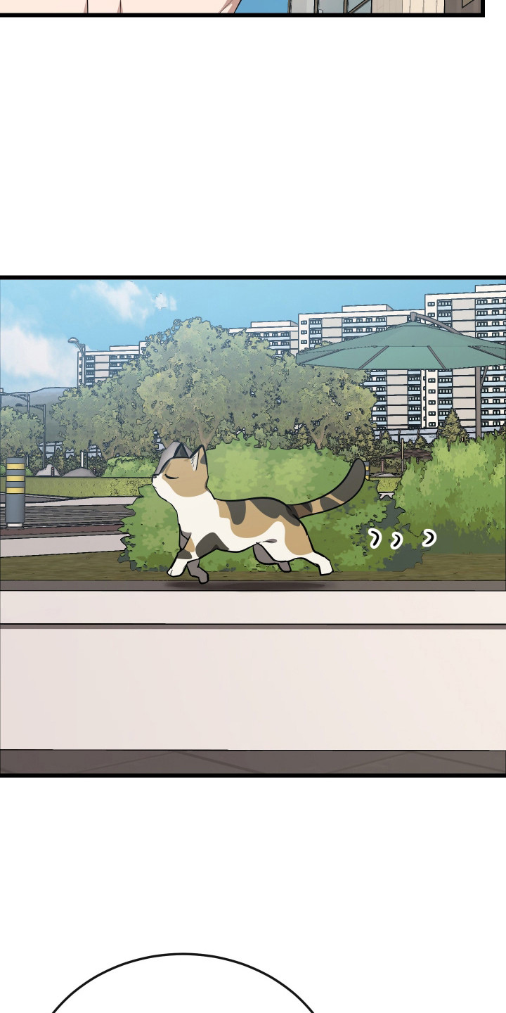 第19章：绝育3