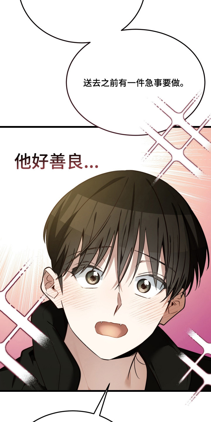 第19章：绝育4