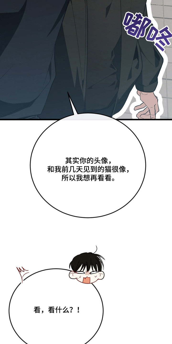 第19章：绝育4
