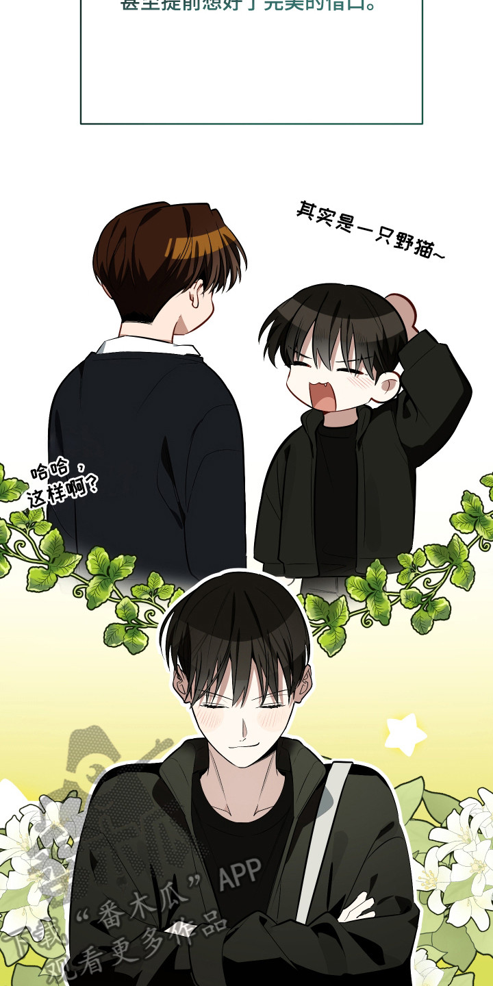 野猫的命定人类漫画,第16章：嫌麻烦1图