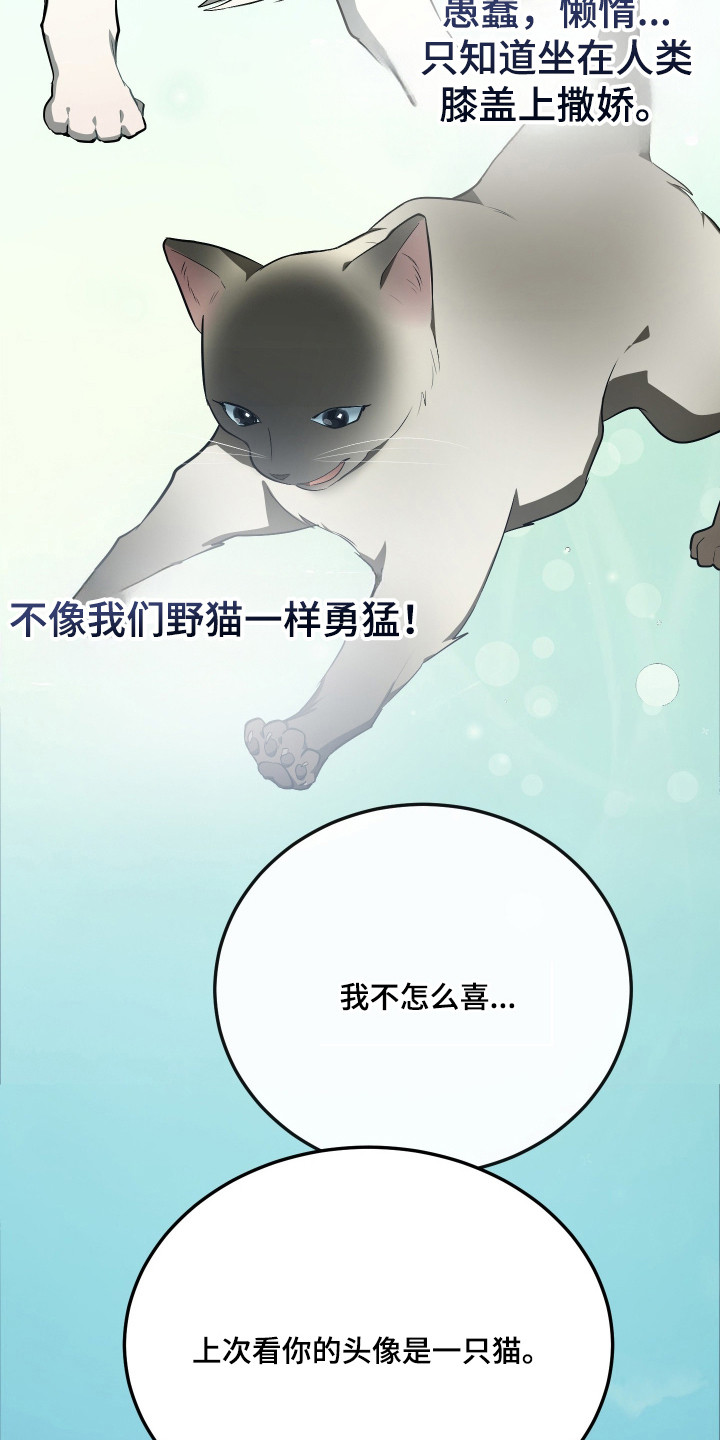 第19章：绝育1