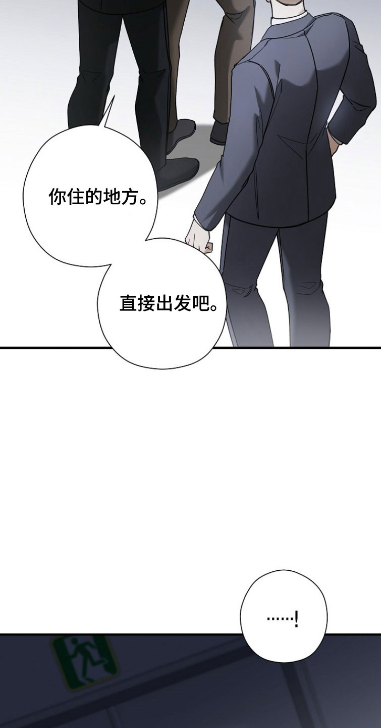 标记我的首席漫画,第29章：直接出发4图