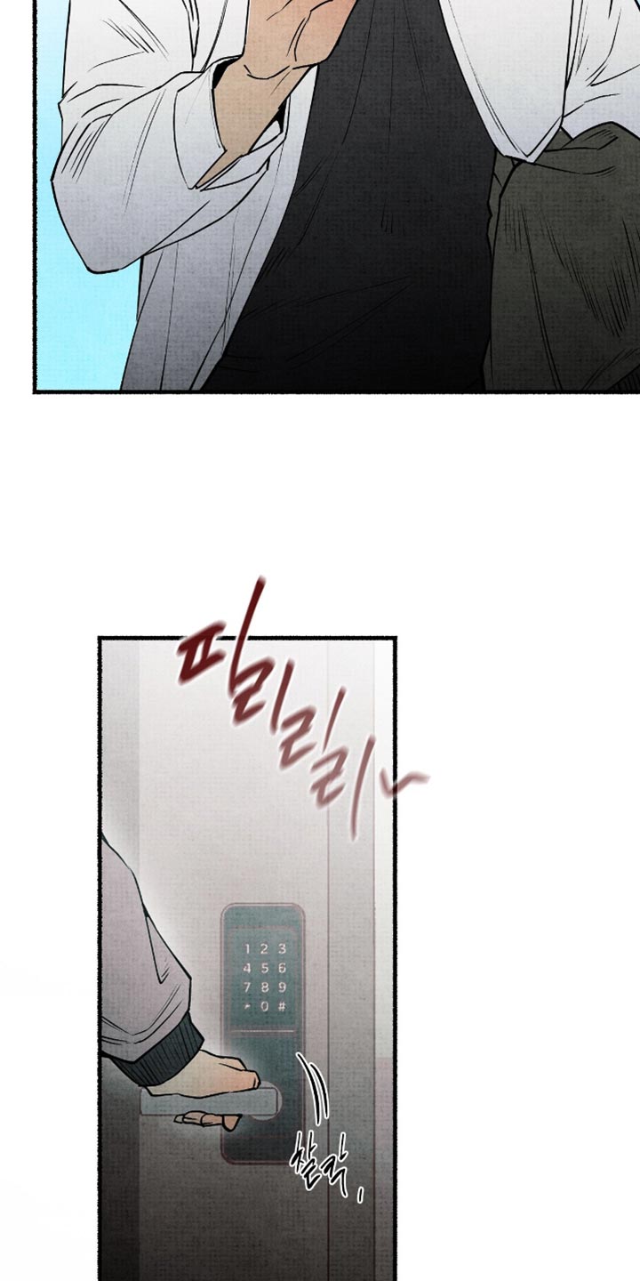 第25章：总有一天会见到2