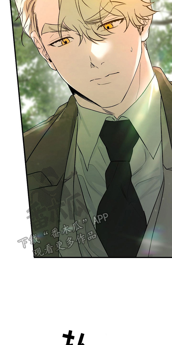 命中犯虎漫画,第29章：无法挽留3图