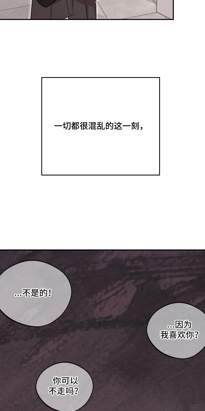 幸运熊先生漫画,第17章：玫瑰花4图